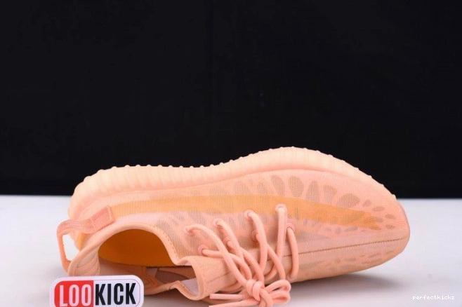 Yeezy Boost GW2870 